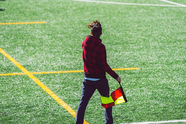 不俗的表现 不俗的表现