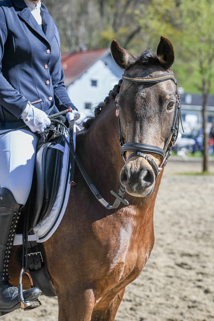 于多方面的 于多方面的