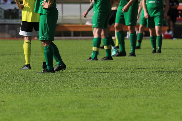 不仅可以了 不仅可以了