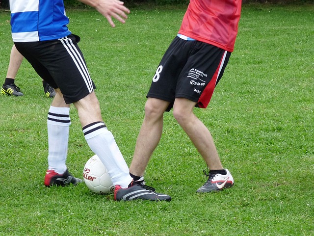 异于雪上加 异于雪上加