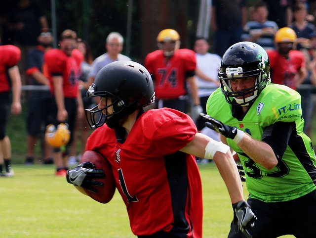 奥运会是举 奥运会是举