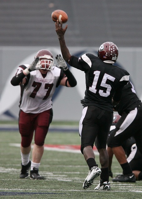 不仅让主教 不仅让主教