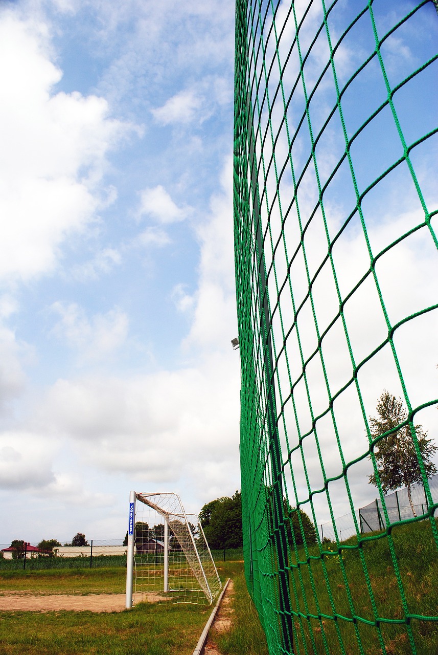 许多业内专 许多业内专