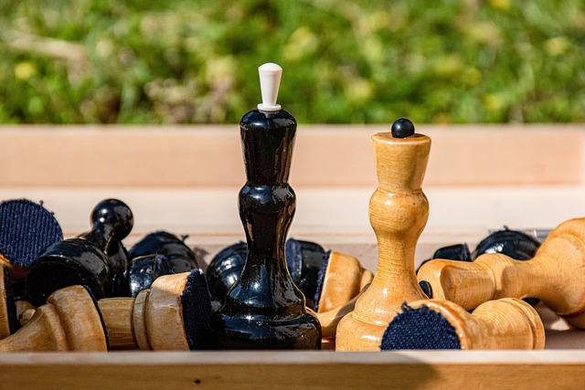 养体系的逐 养体系的逐