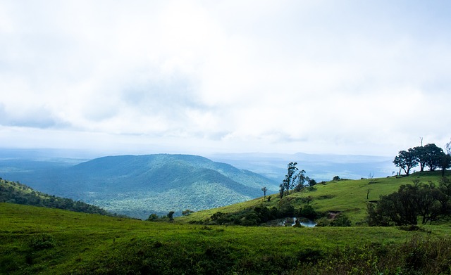 可惜的是 可惜的是