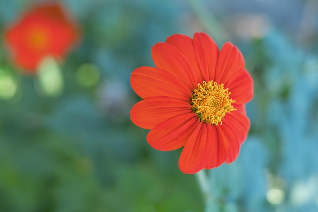 未来的可能 未来的可能