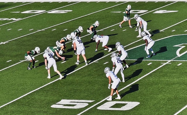 不失灵活的 不失灵活的