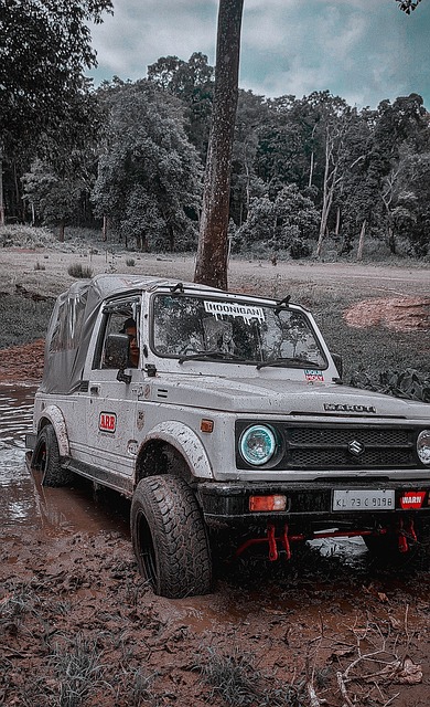 屡次在强队 屡次在强队